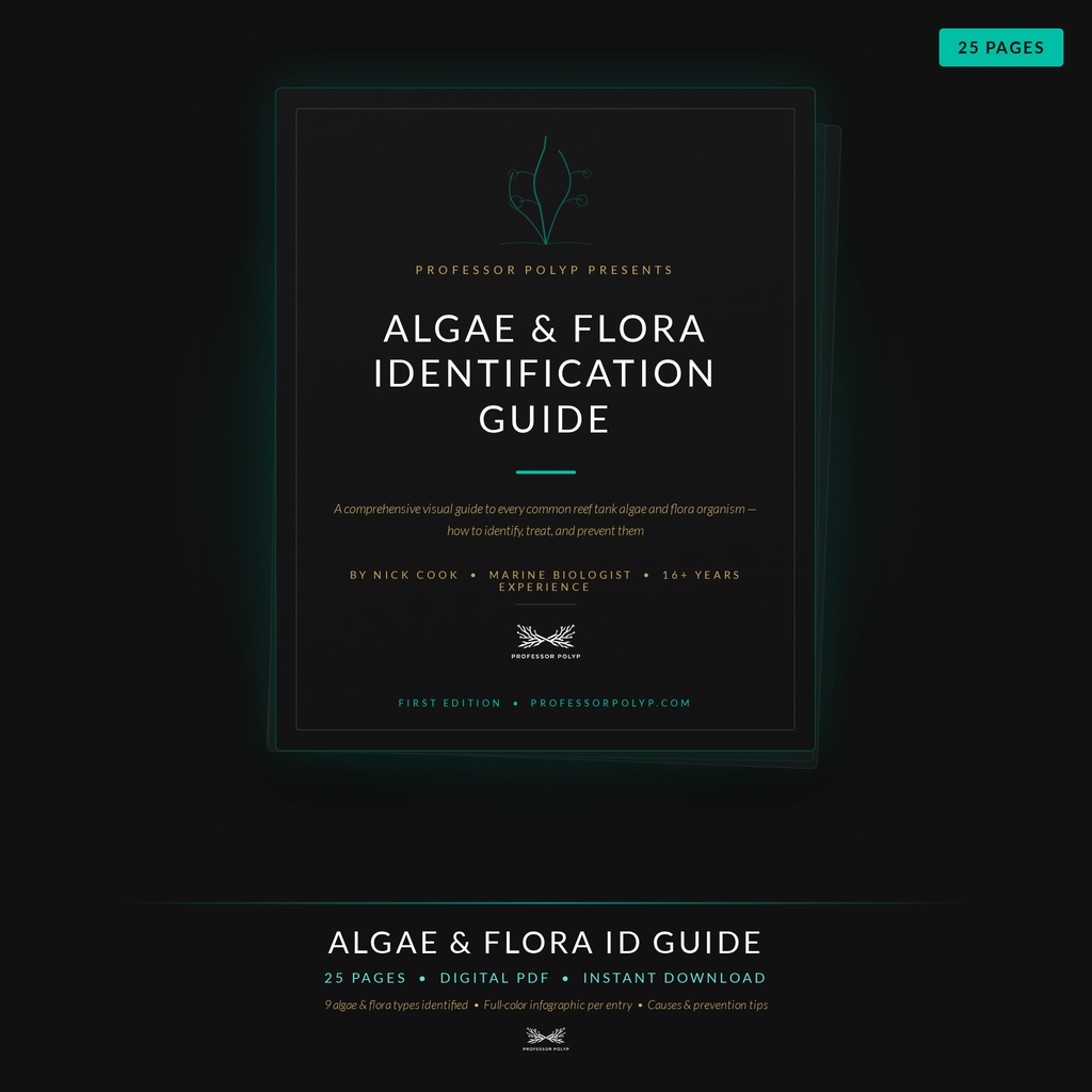 Algae & Flora Guide - Digital Download