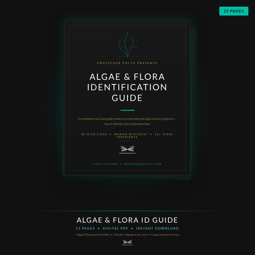 Algae & Flora Guide - Digital Download