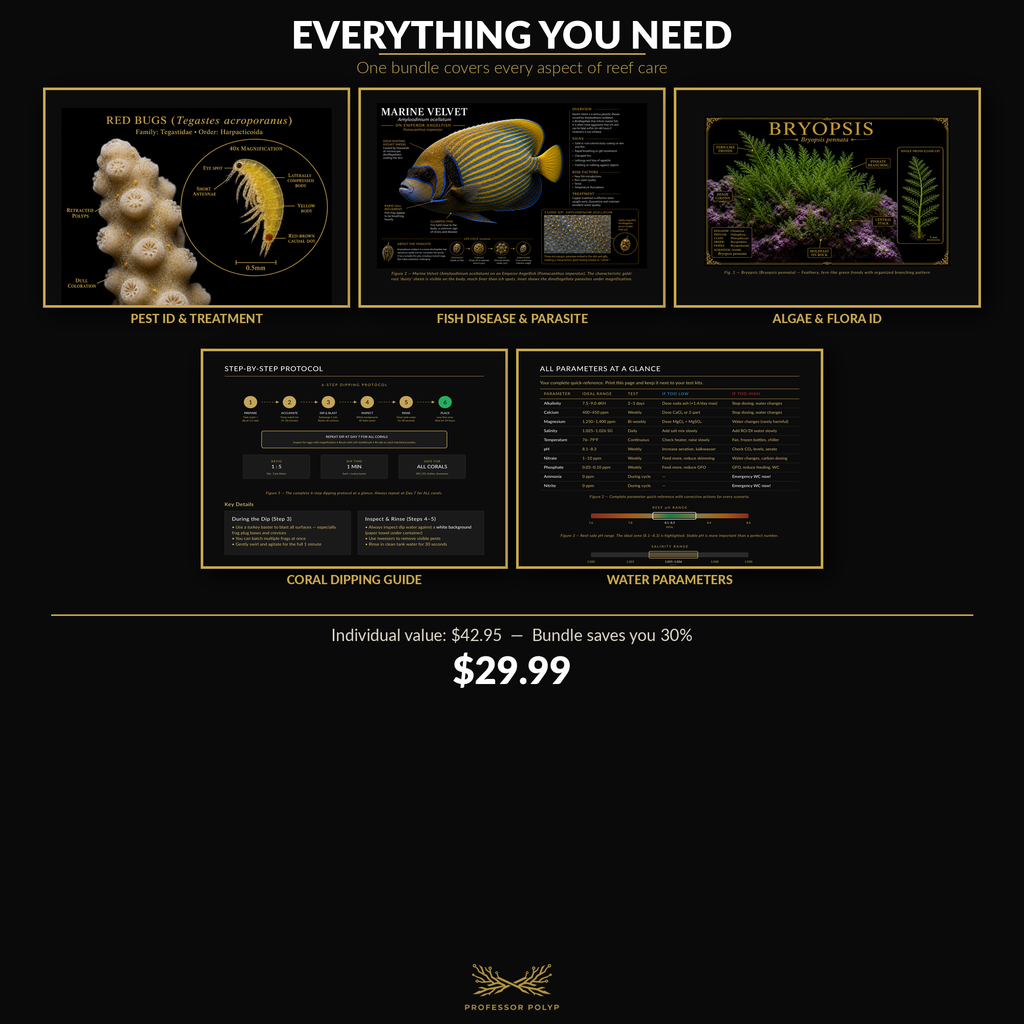 Complete Reef Care Library - Everything You Need