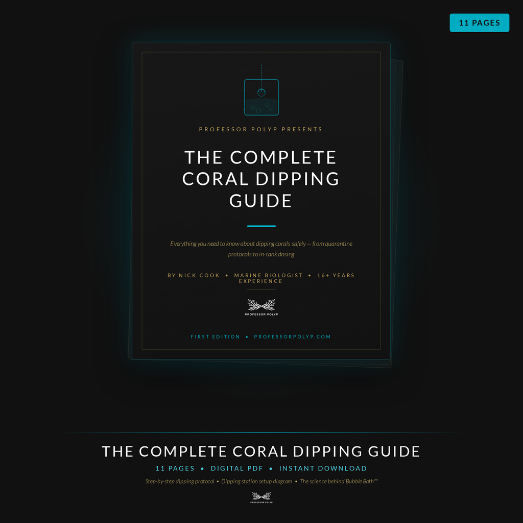 Dipping Guide - Digital Download