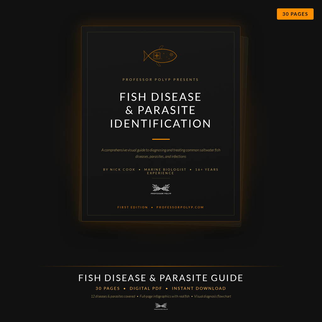 Fish Disease Guide - Digital Download