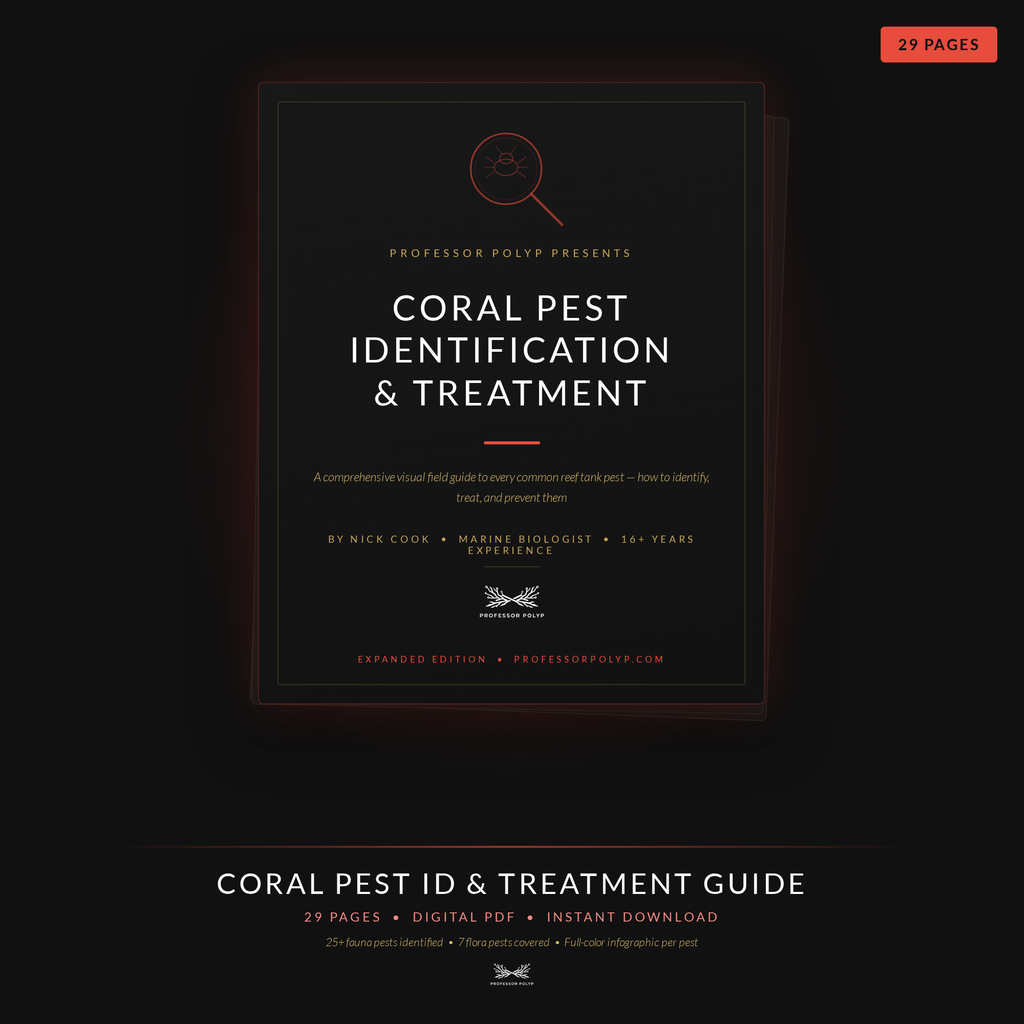 Pest ID Guide - Digital Download