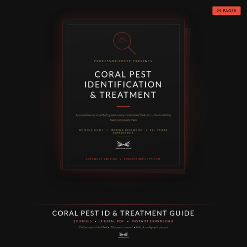 Pest ID Guide - Digital Download