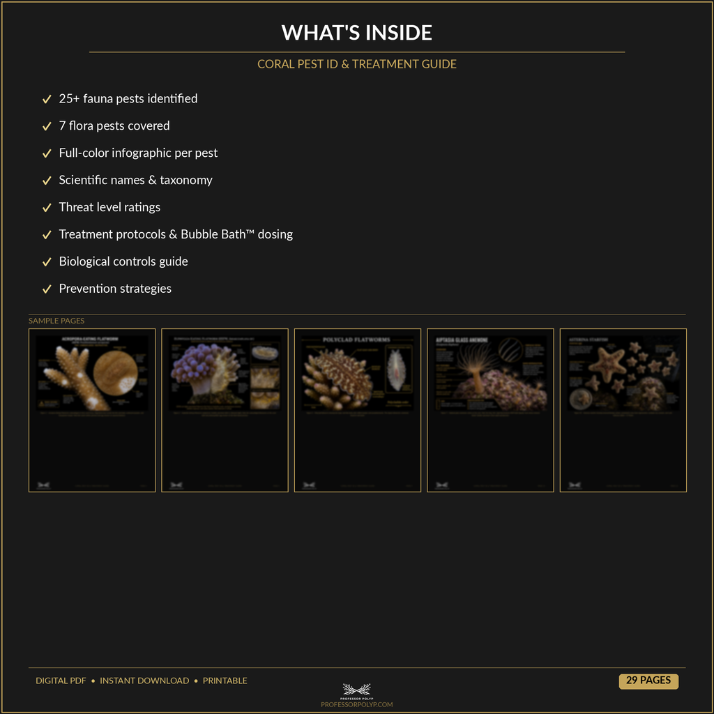 Coral Pest ID & Treatment Guide — Digital Download